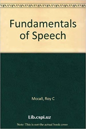 Fundamentals of the Theory of Speech Communication